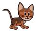 Abyssinian