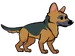 Schäferhund