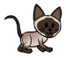 Siamese